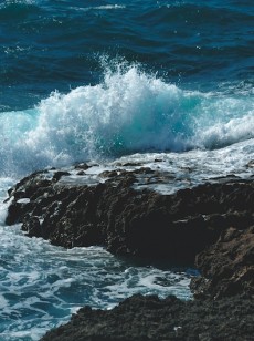 la-cosmetique-marine-au-service-de-la-minceur-daniel-jouvance-41202